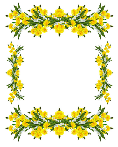 Одуванчики цветы изолированы на белом фоне - Фото, изображение