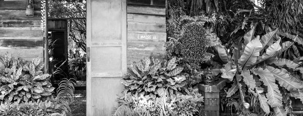 ξύλινη πόρτα στον κήπο σε μαύρο και άσπρο - Φωτογραφία, εικόνα