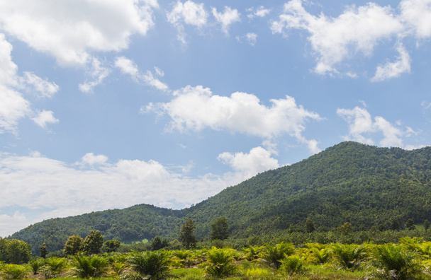 θέα στα βουνά του μεγαλοπρεπή στρώμα στην Ταϊλάνδη - Φωτογραφία, εικόνα