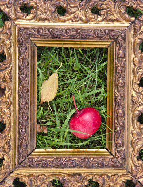 Antieke kader met ecologische apple geplaatst op gazon - Foto, afbeelding
