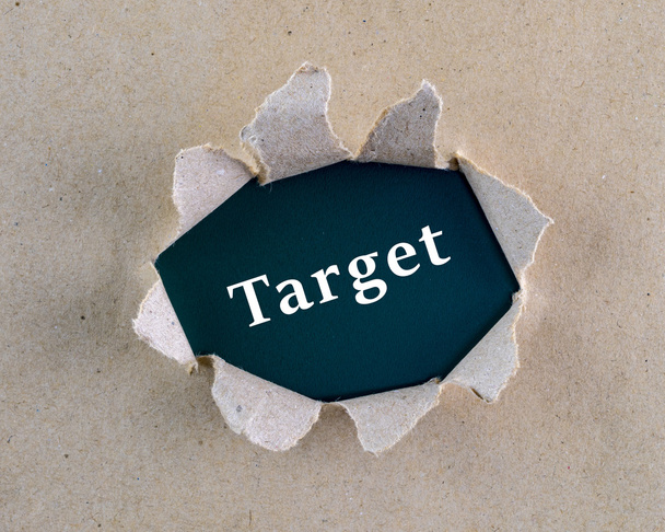 Papel de textura áspera marrón rasgado con palabra "Target" en la superficie del fondo
. - Foto, Imagen
