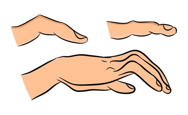 漫画人間の手と指のイメージ。白い背景で隔離のベクトル図. - ベクター画像