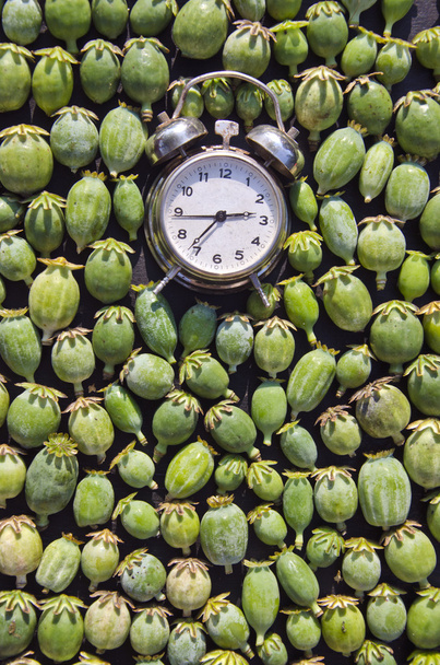 Herätyskello, jossa on oopiumiunikonsiemeniä
 - Valokuva, kuva
