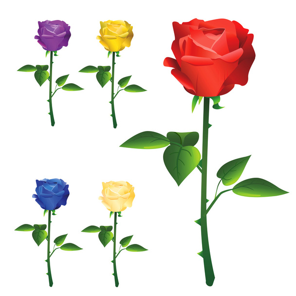 Rose vector - Vector, Image
