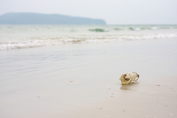 Ambiente, poluição das praias
 - Foto, Imagem