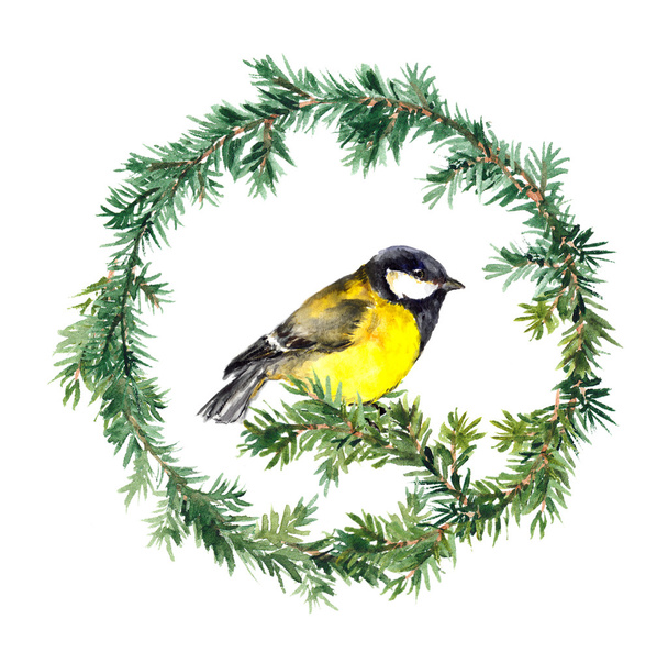 New year wreath - spruce and tit bird. Watercolor - Foto, immagini
