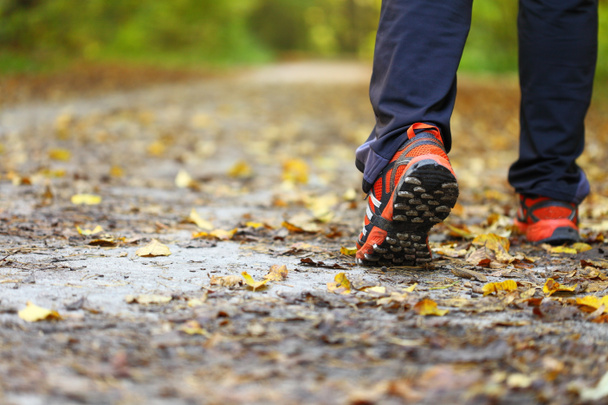 muž chodící běžecké stopy v podzimním lese - Fotografie, Obrázek