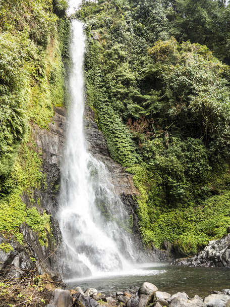 scenic waterfall in Bali - Photo, Image