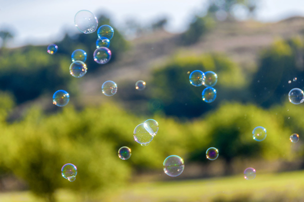 Радужные пузыри
 - Фото, изображение