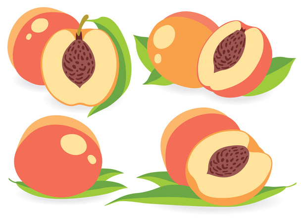Peaches vector illustrations - Vecteur, image