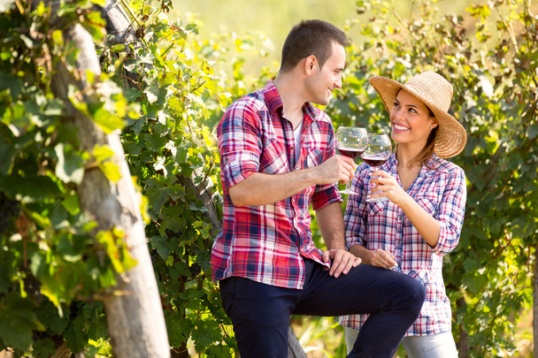 Woman and man in vineyard drinking wine - 写真・画像