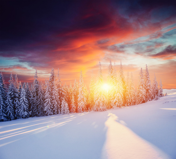Upea talvimaisema vuorilla
 - Valokuva, kuva