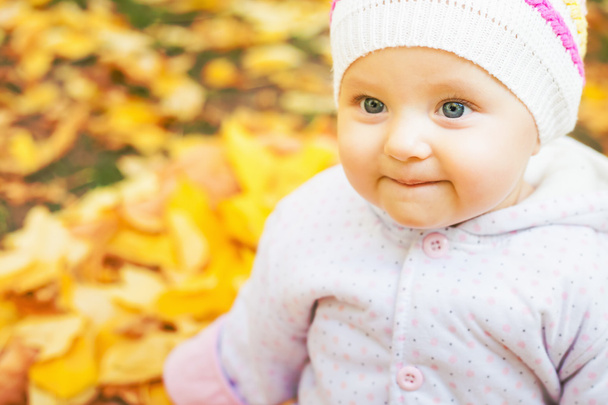 portrait of baby at autumn park with yellow leaves background - Valokuva, kuva