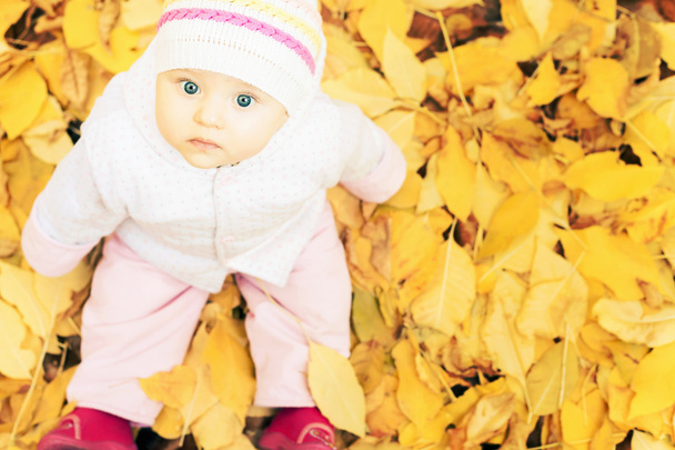 portrait of baby at autumn park with yellow leaves background - Fotoğraf, Görsel