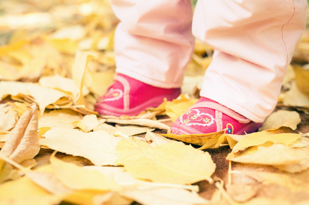 Close-up baby dressed in shoes outdoor at autumn park - Фото, изображение