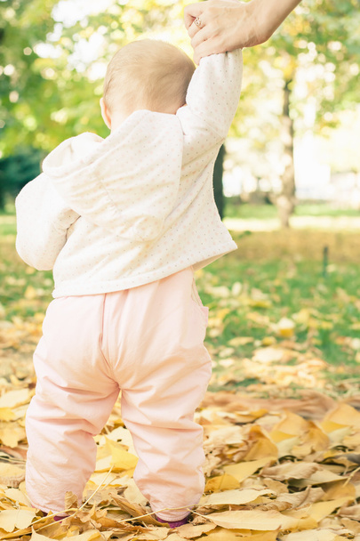 Baby walking and holding her mother hand outdoor - 写真・画像