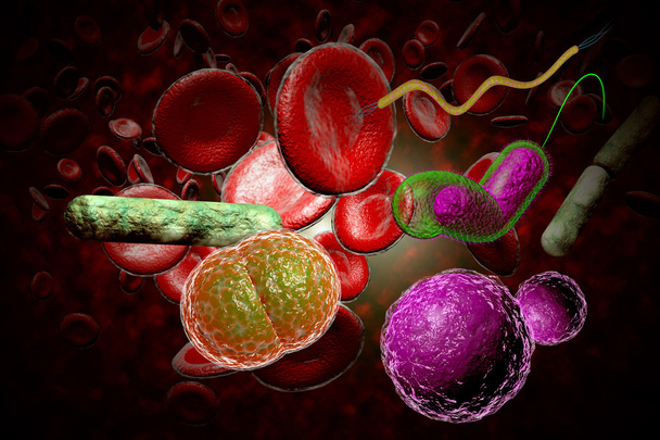 Bakterien infizieren Blutkreislauf - Foto, Bild
