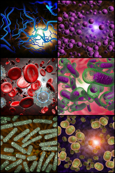 colagem de infecção bacteriana
 - Foto, Imagem