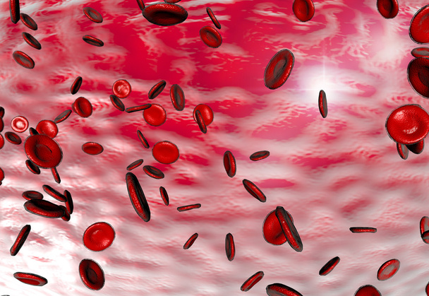 Rote Blutkörperchen - Foto, Bild