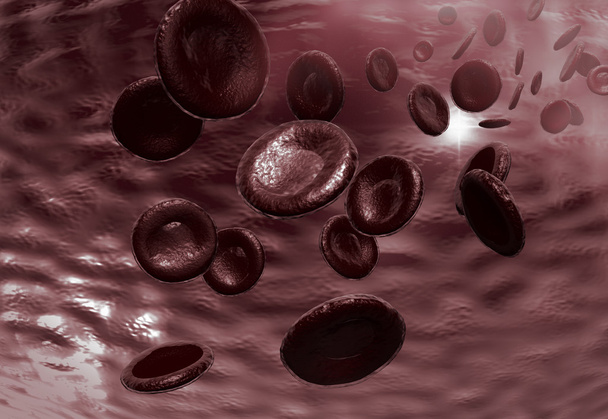 Красные кровавые клетки - Фото, изображение