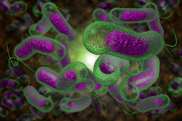 Cholera Bacteria - Photo, Image