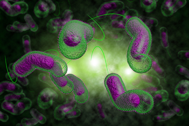 bactérias da cólera
 - Foto, Imagem