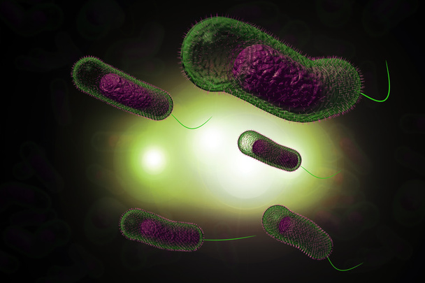 Kolera bakteri - Fotoğraf, Görsel