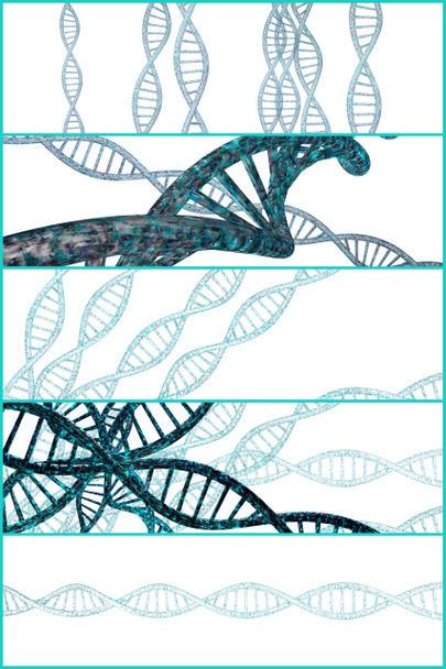 DNA Strand Collage - Foto, afbeelding