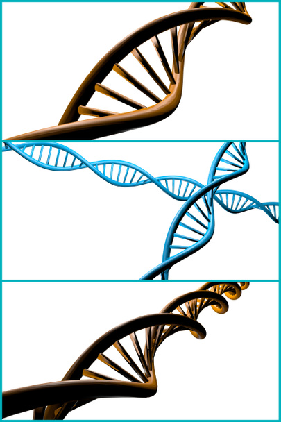 DNA iplikçik kolaj - Fotoğraf, Görsel