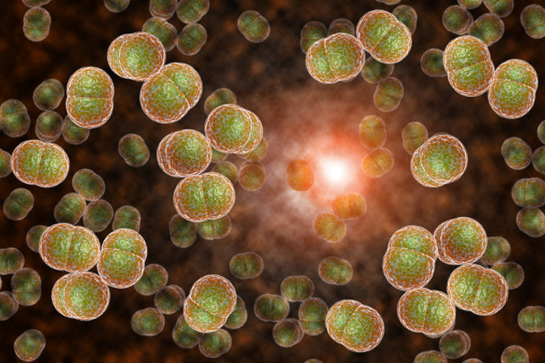Agyhártyagyulladás baktériumok fertőzés - Fotó, kép