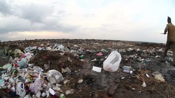 dump munkanélküli ember hajléktalan piszkos keres élelmiszer-hulladékot a hulladéklerakó szociális videó - Felvétel, videó
