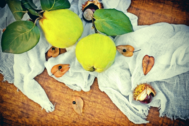 Quinces biologiques - Fruits d'automne
 - Photo, image