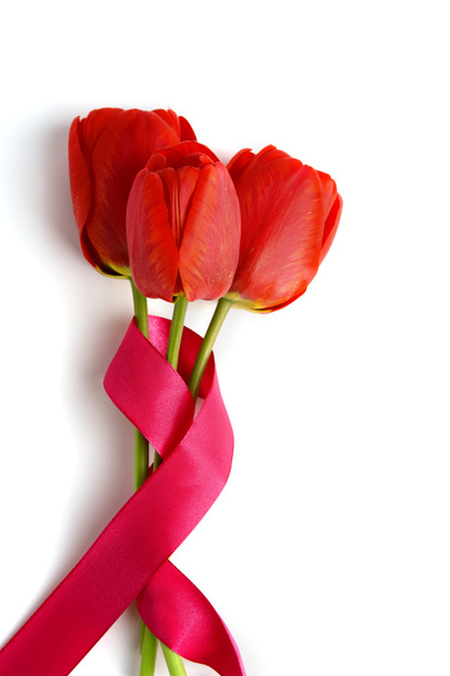 Tulips with ribbon - Foto, Imagen