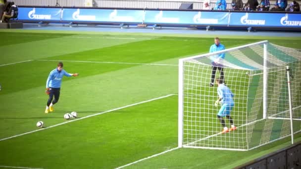 Goalkeeper Training before the Game - Footage, Video