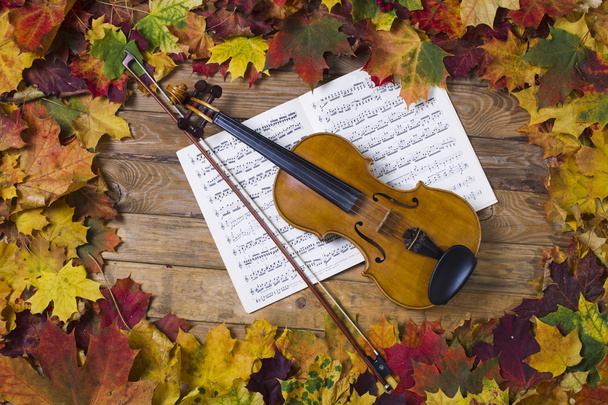 Violin against the backdrop of autumn foliage - Фото, зображення