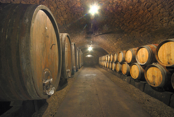 Старі вина печера
 - Фото, зображення