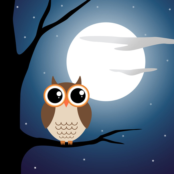 Owl sitting on a branch at night - Фото, изображение