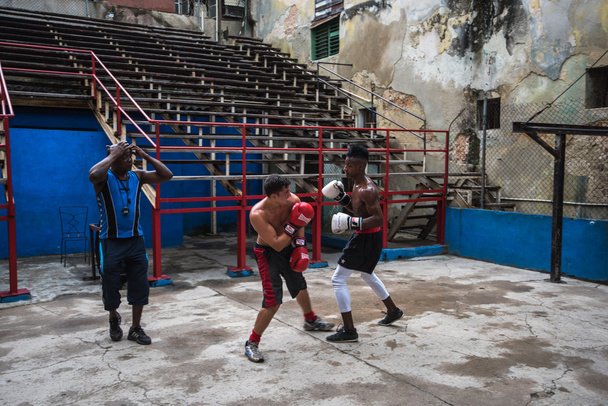 Young boxers train in boxing school in Havana,Cuba. - 写真・画像