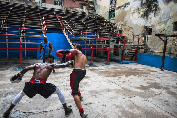 Young boxers train in boxing school in Havana,Cuba. - Photo, Image