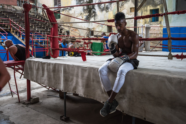 Young boxers train in boxing school in Havana,Cuba. - 写真・画像