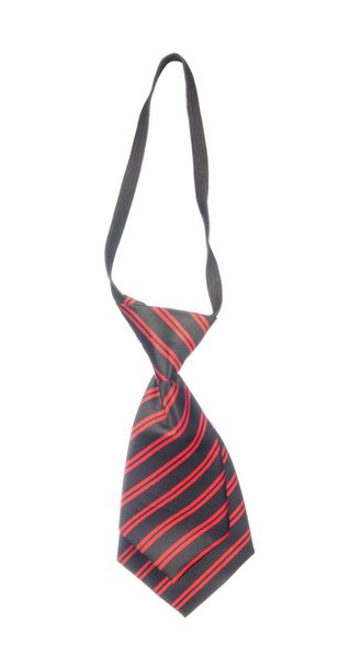 Necktie isolated on white - Photo, Image