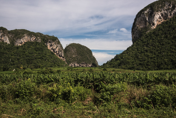 Пейзаж Могота в долине Виналес на Кубе
. - Фото, изображение