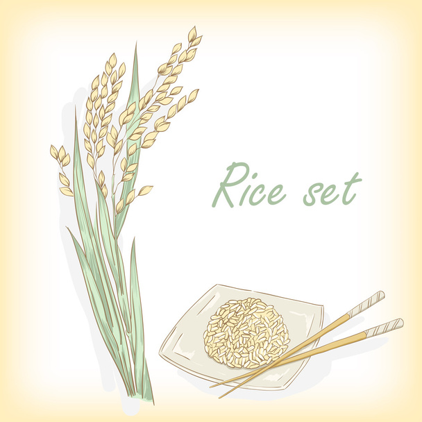 Pianta di riso, porridge di riso. Illustrazione vettoriale
 - Vettoriali, immagini