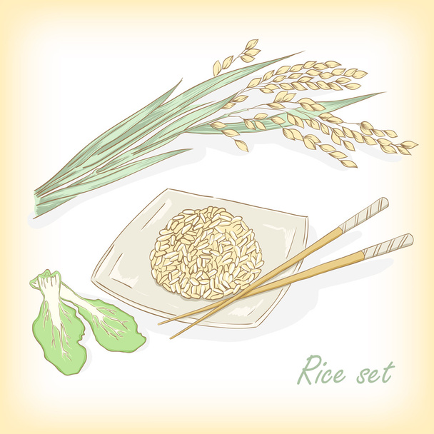 Rice plant, rice porridge. Vector illustration - Vector, Image