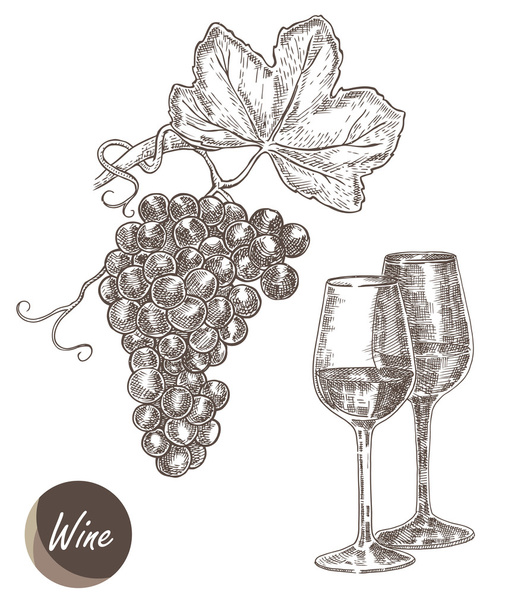 Ramo de uvas y copas de vino. Ilustración vectorial en boceto
 - Vector, Imagen