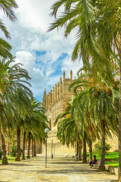 Cattedrale di Santa Maria di Palma di Maiorca, La Seu, Spagna - Foto, immagini