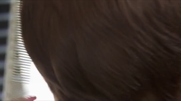 Cutting And Combing Of Woman Hair - Felvétel, videó