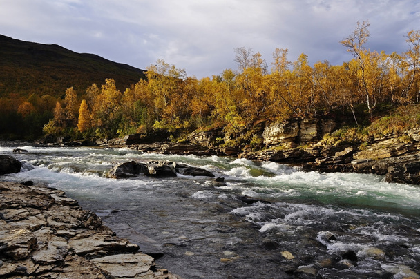 River in autumn - Foto, afbeelding