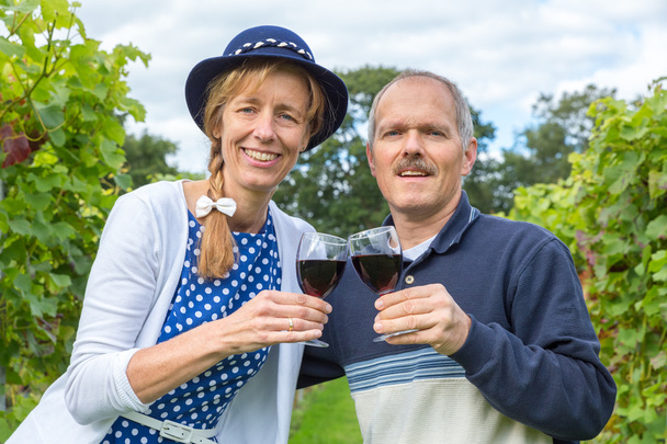 Couple caucasien toastant avec des verres de vin rouge dans le vignoble
 - Photo, image