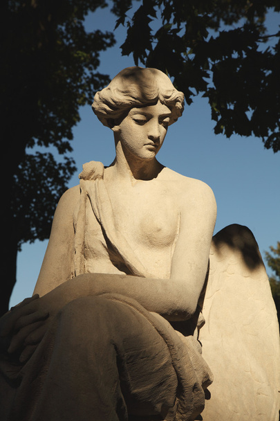 La diosa del amor Afrodita (Venus
) - Foto, Imagen